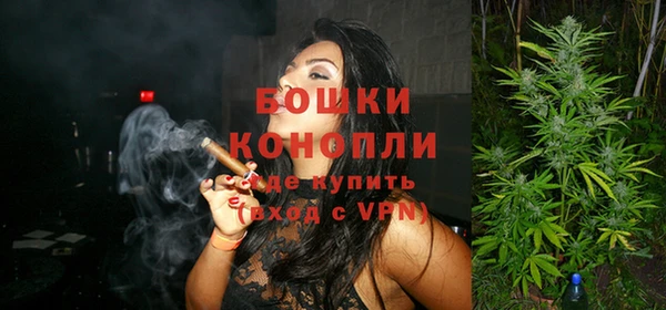 стаф Белокуриха
